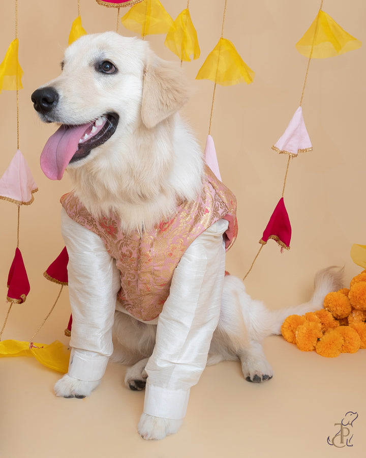 Pink & Golden Brocade Koti Kurta