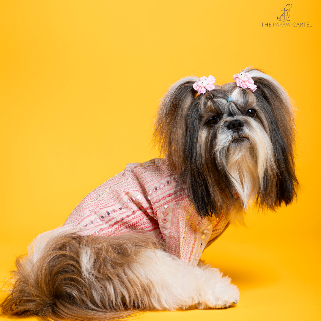 Shades of pink mirrored sherwani for dogs