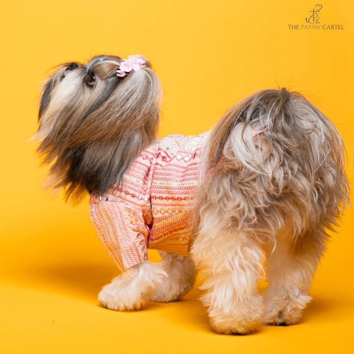 Shades of pink mirrored sherwani for dogs