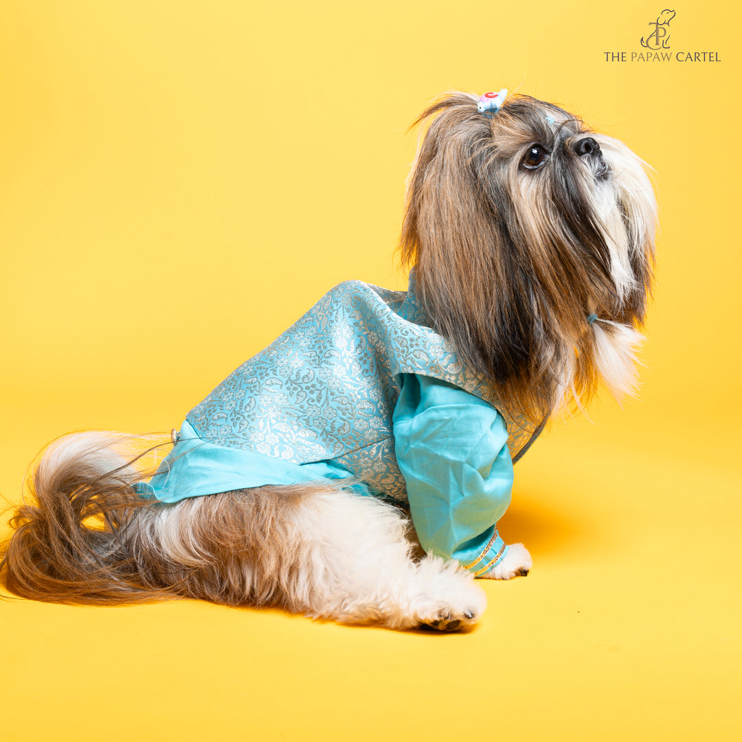 Sky Blue Neemzari koti kurta set for dogs