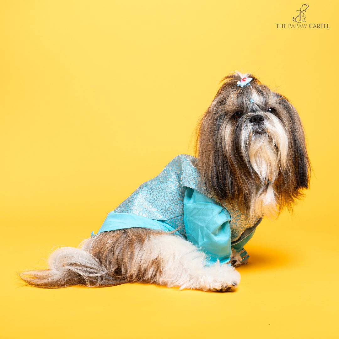 Sky Blue Neemzari koti kurta set for dogs