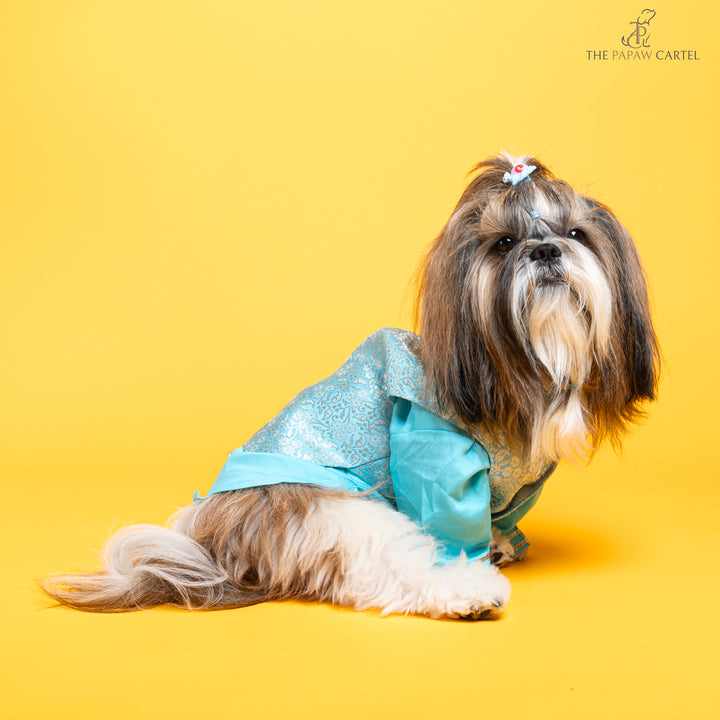 Sky Blue Neemzari koti kurta set for dogs